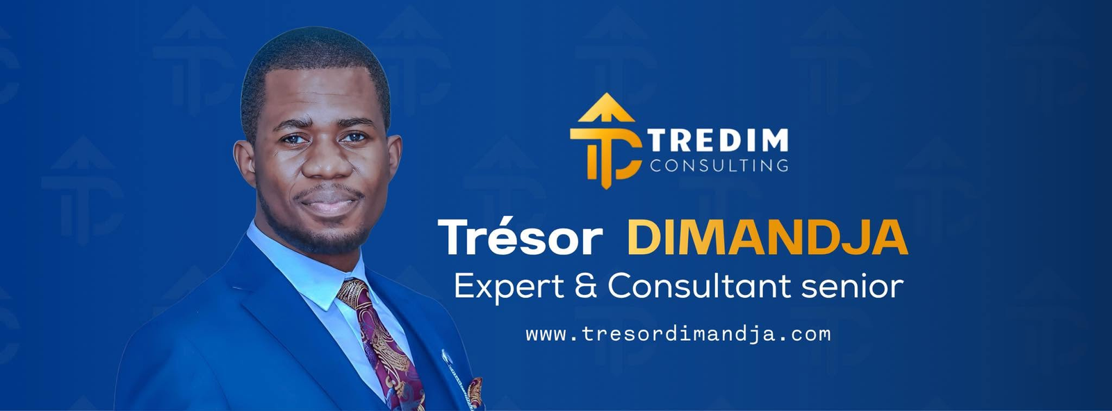 TREDIM Consulting graphic presenting Trésor Dimandja as an expert and senior consultant.